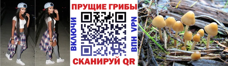 Галлюциногенные грибы Magic Shrooms  купить наркоту  Октябрьск 